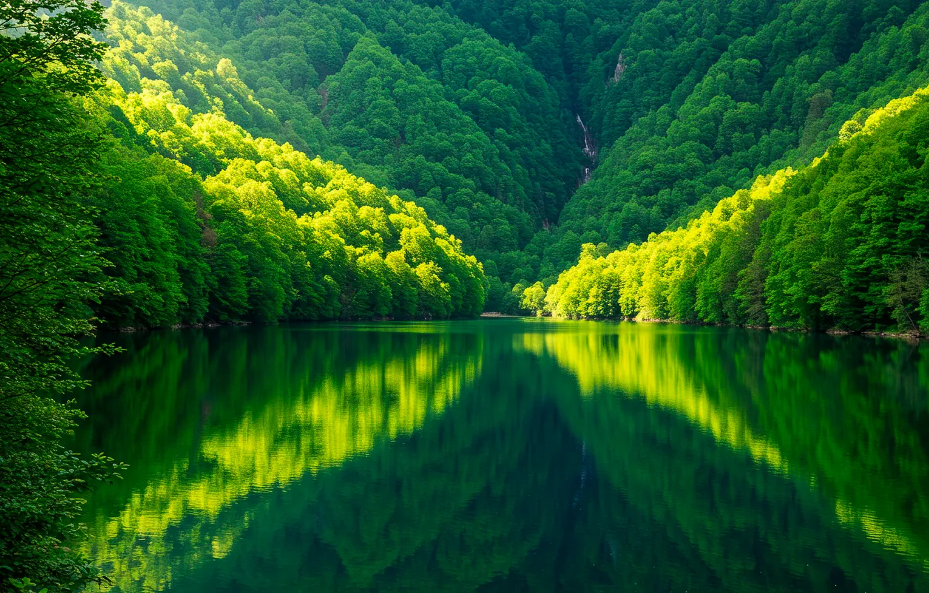 Фото обои деревья, горы, природа, озеро, отражение, обои, wallpaper, кусты