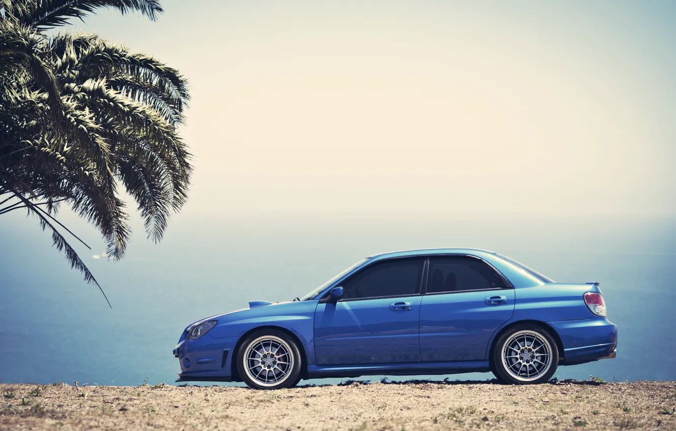 Фото обои небо, пальма, Subaru, Impreza, синяя, blue, субару, импреза