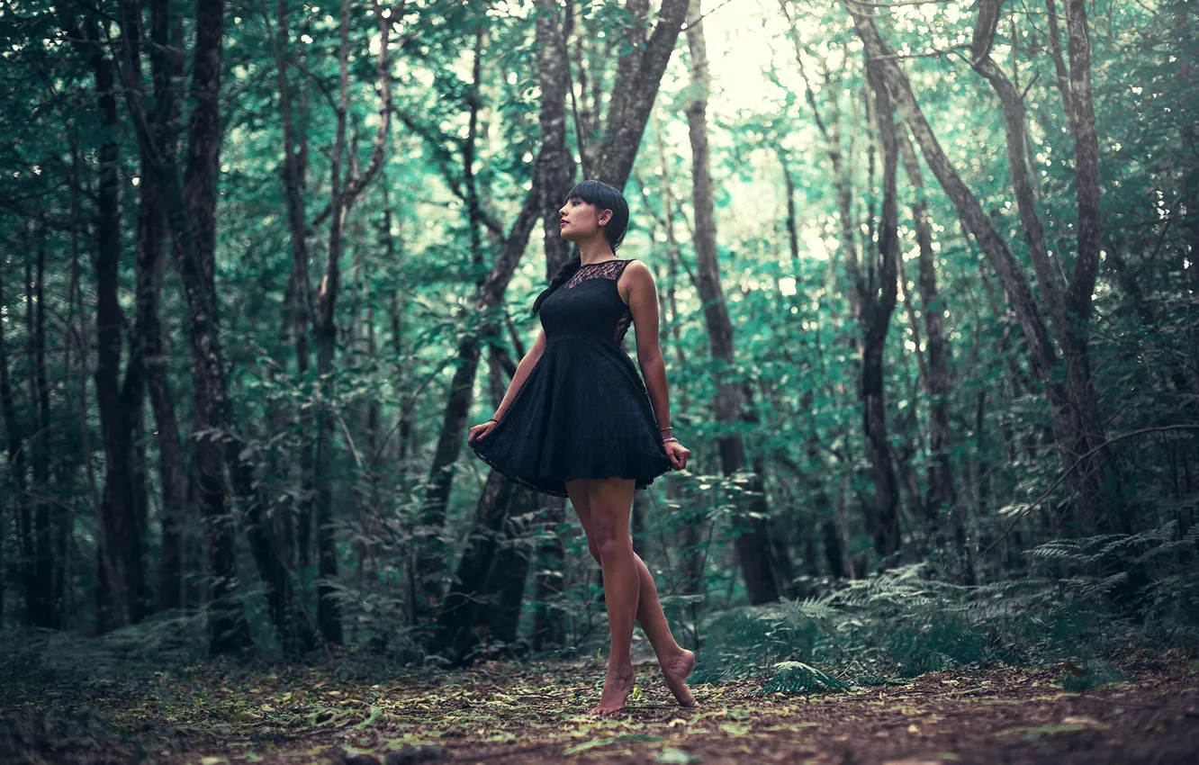 Фото обои girl, forest, dress, legs, trees, woman, model, mood