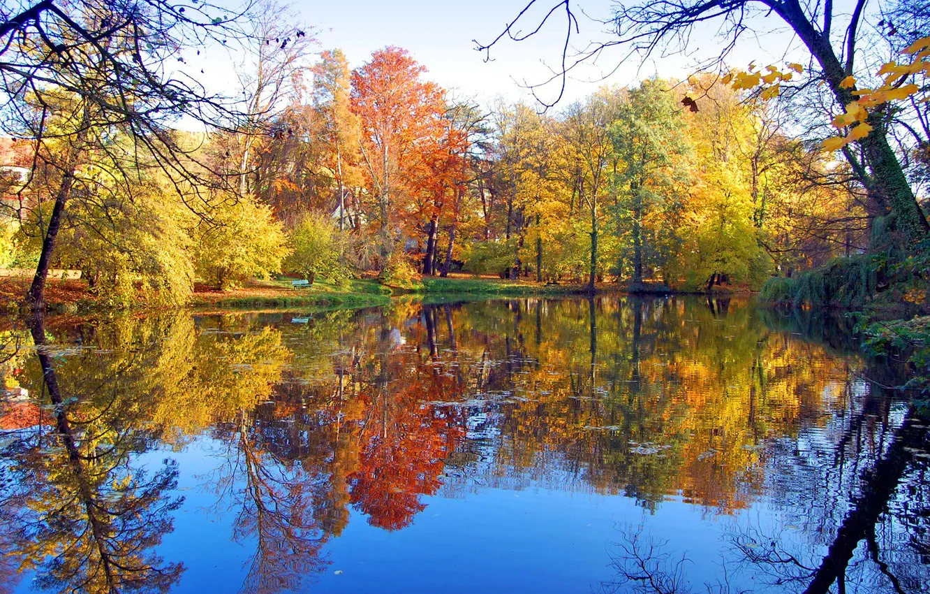 Фото обои осень, листья, деревья, скамейка, пруд, парк, отражение