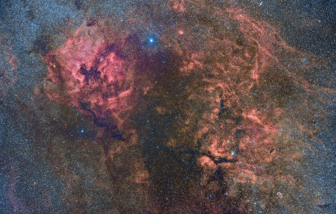Фото обои звёзды, Лебедь, созвездие, Cygnus