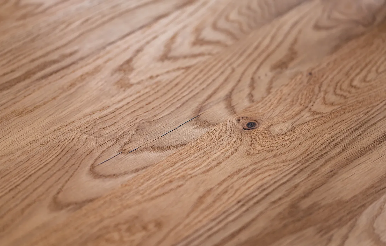 Фото обои wood, pattern, knots
