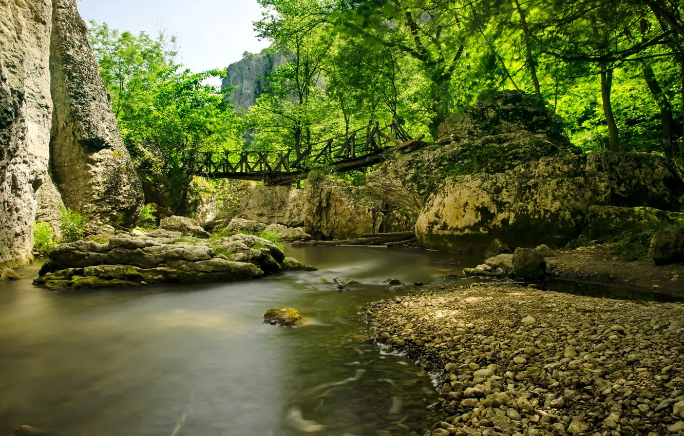 Фото обои лес, деревья, горы, мост, камни, скалы, речка, Болгария