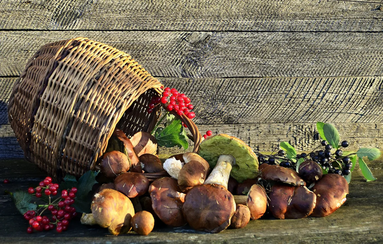 Фото обои ягоды, грибы, натюрморт, калина, кОрзина