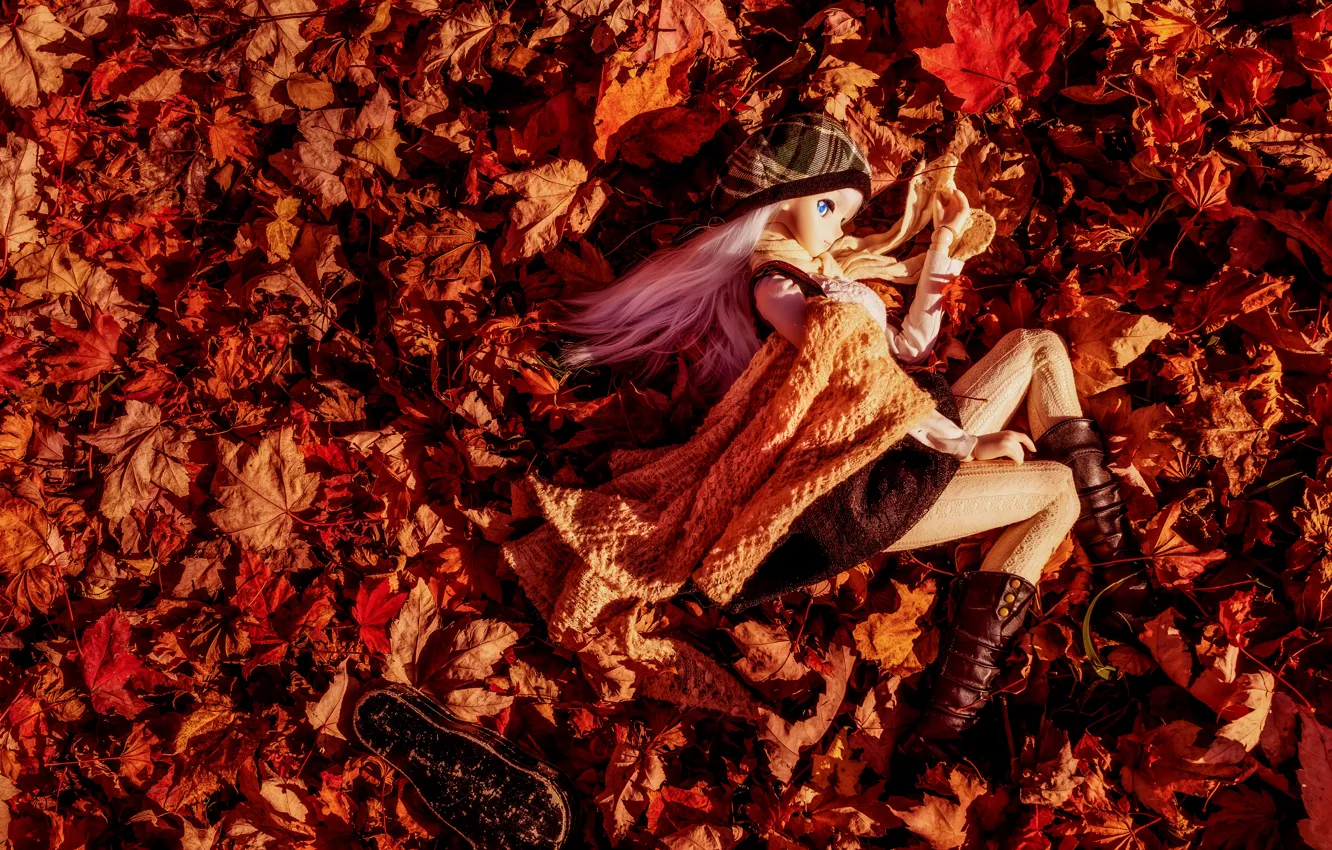 Фото обои осень, листья, настроение, игрушка, кукла