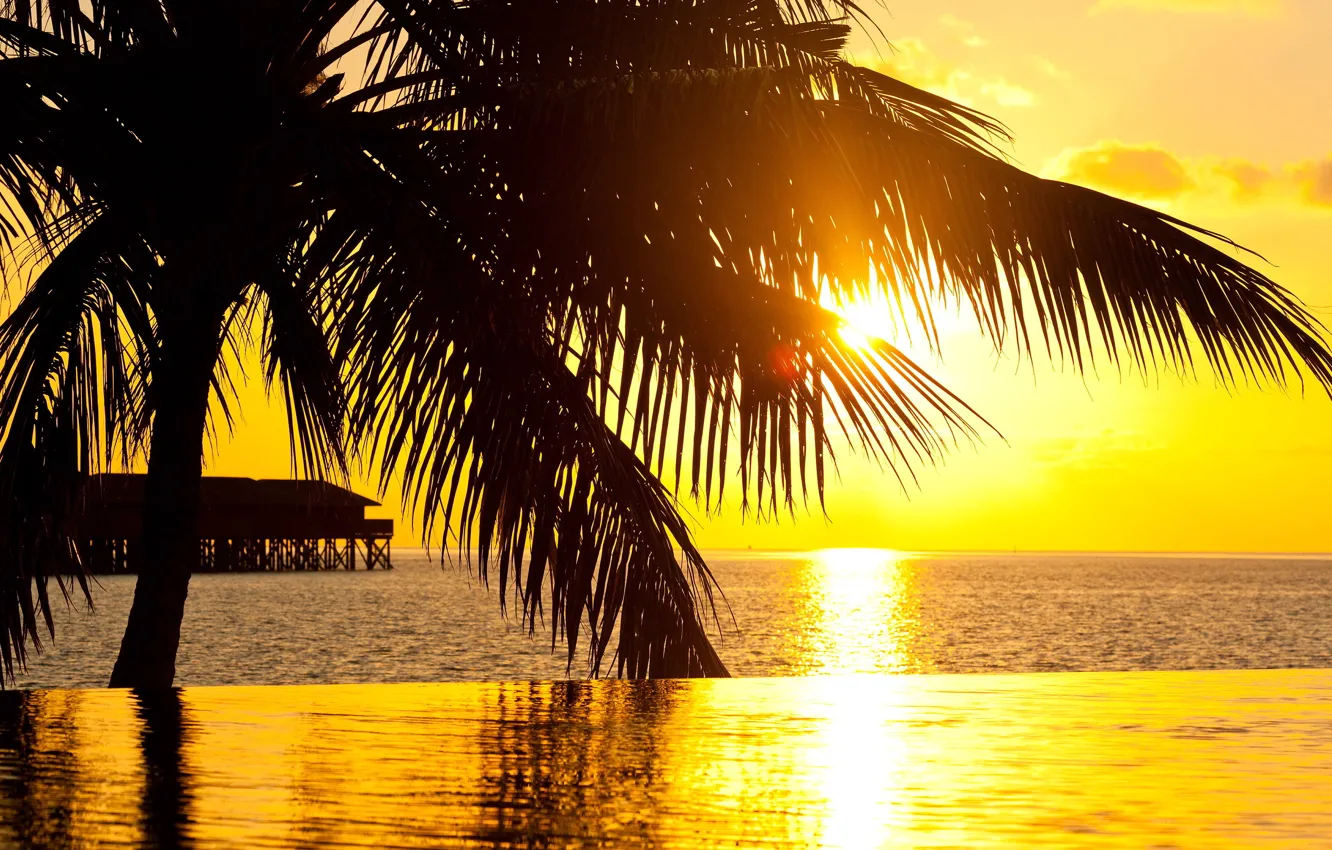 Фото обои закат, пальма, океан, бассейн, курорт