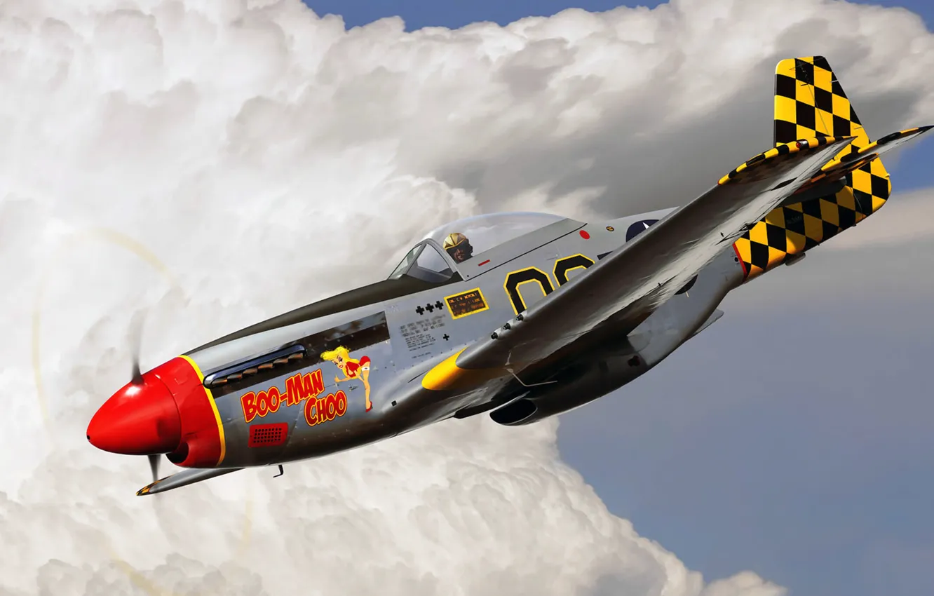 Фото обои рисунок, Mustang, арт, P-51, ВВС США, North American