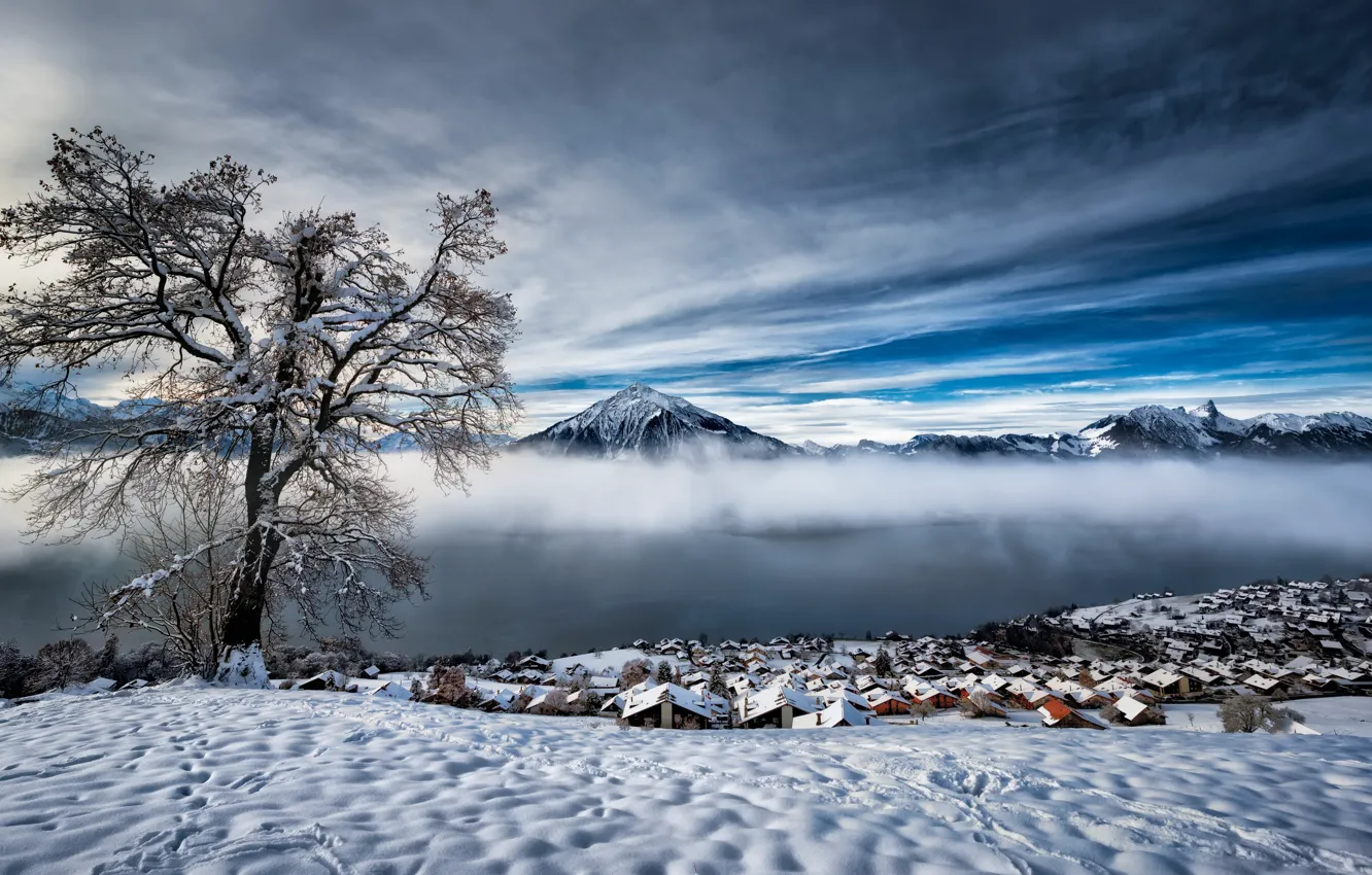 Фото обои Winter, Bern, Swiss Alps
