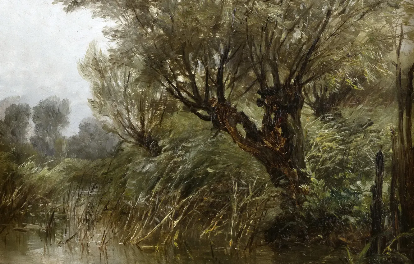 Фото обои деревья, пруд, картина, Пейзаж, Карлос де Хаэс