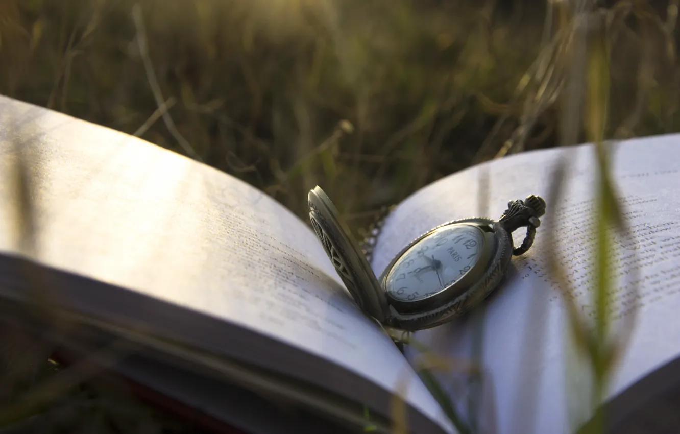 Фото обои трава, часы, книга, крышка, циферблат