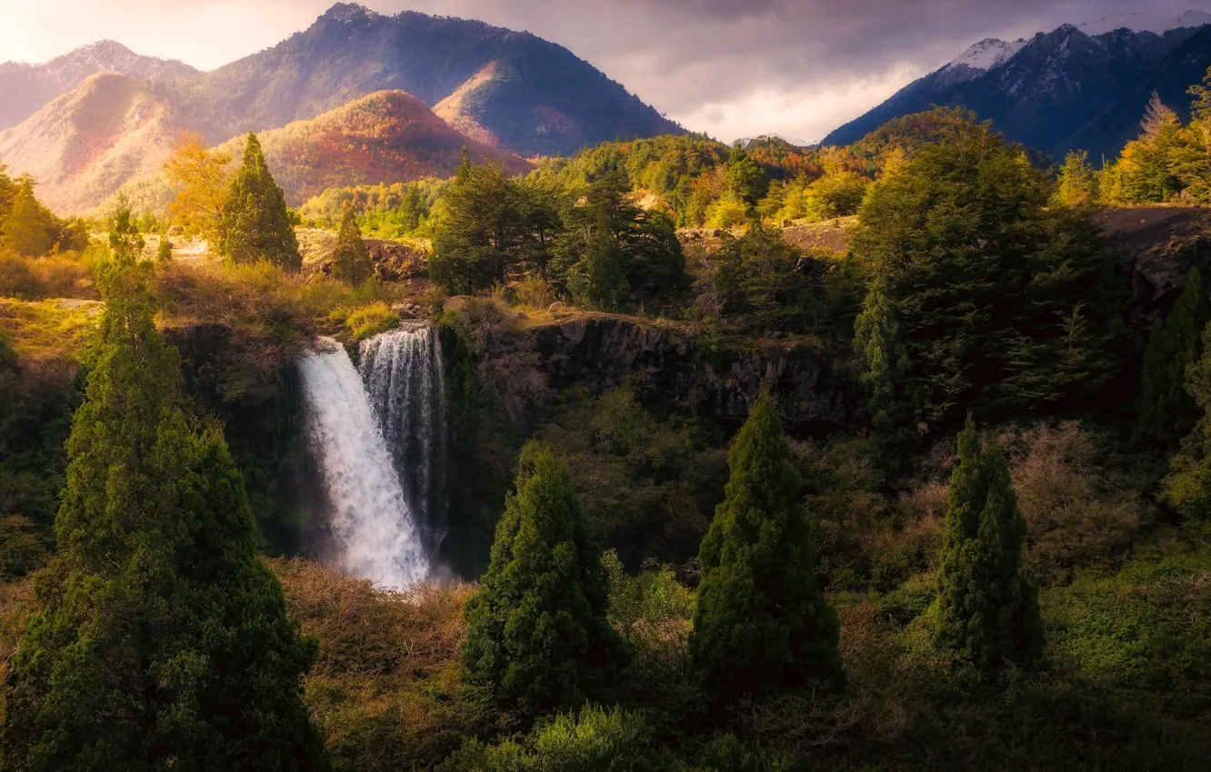 Фото обои лес, вода, горы