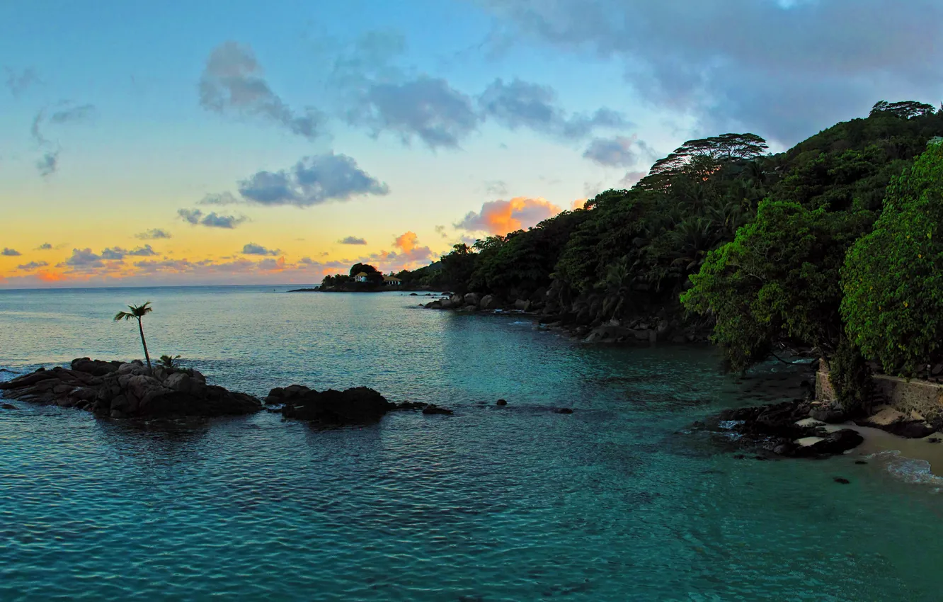 Фото обои море, деревья, закат, тропики, камни, пальмы, побережье, остров