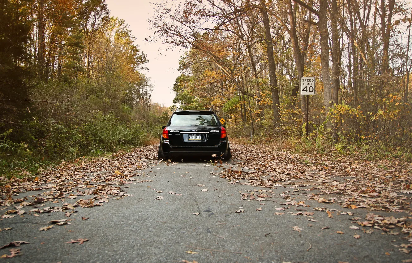 Фото обои осень, листва, Subaru, black, субару, stance, Outback