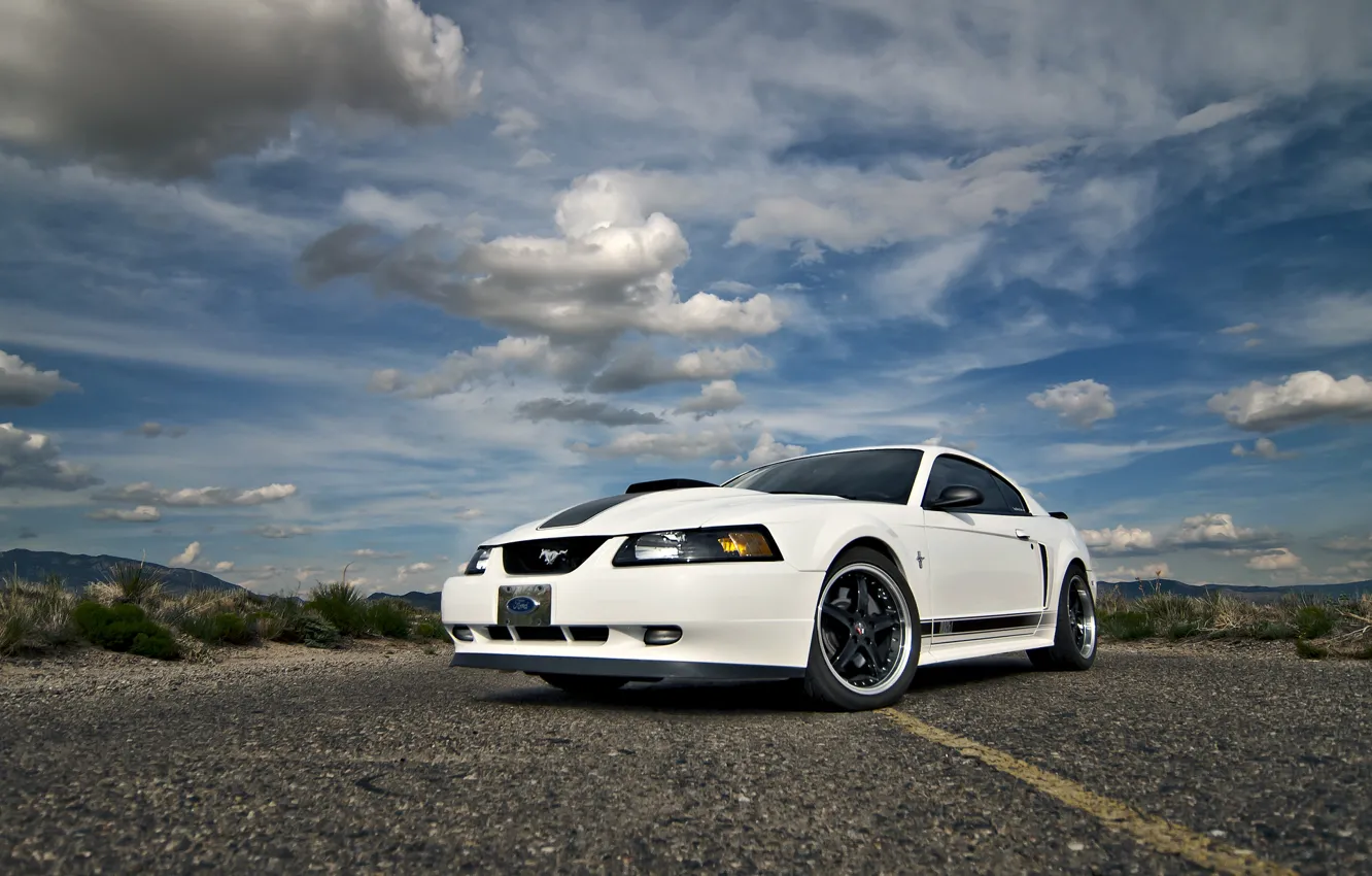 Фото обои Mustang, Ford, white, road, 2004