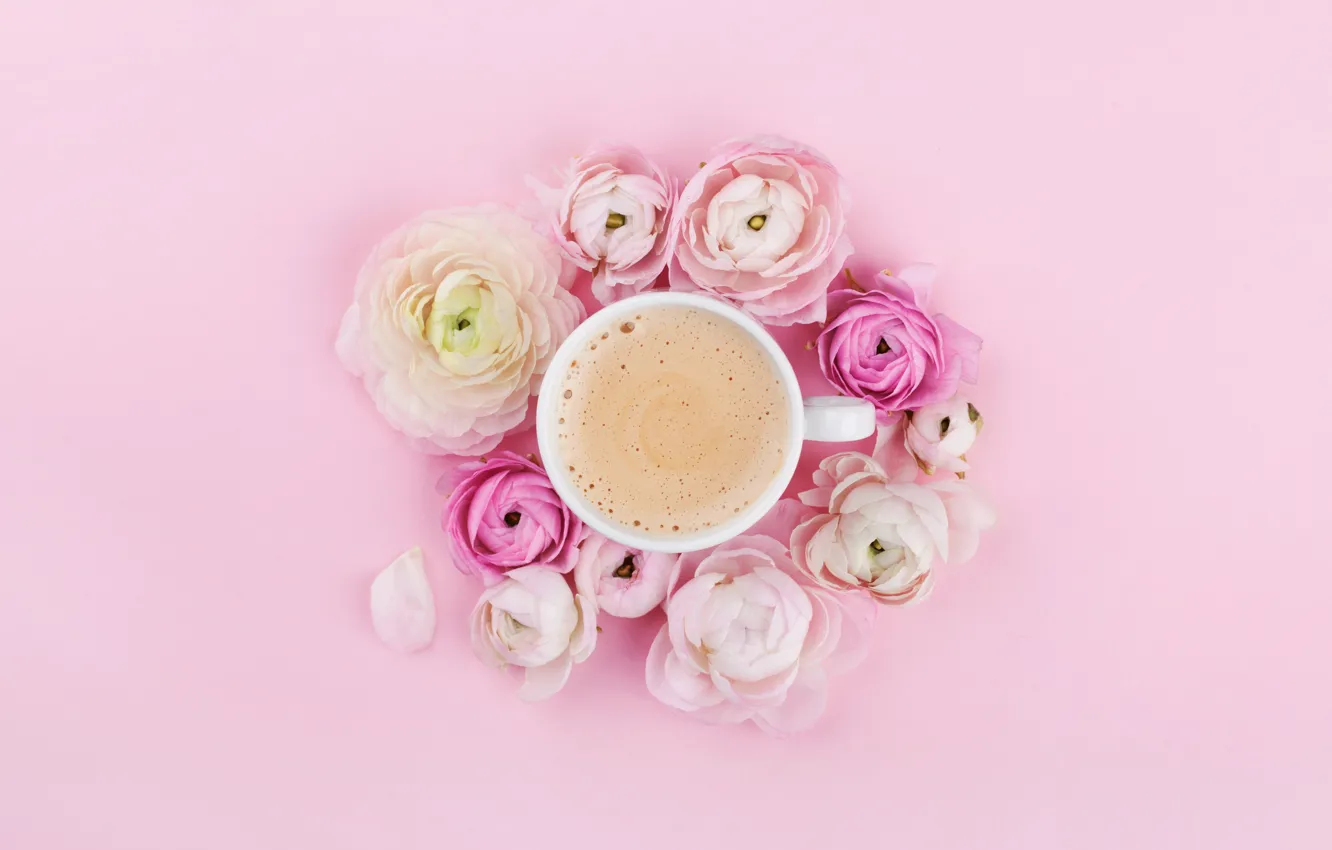 Фото обои цветы, розовый, кофе, чашка, pink, coffe, cappuccino, ранкулюсы