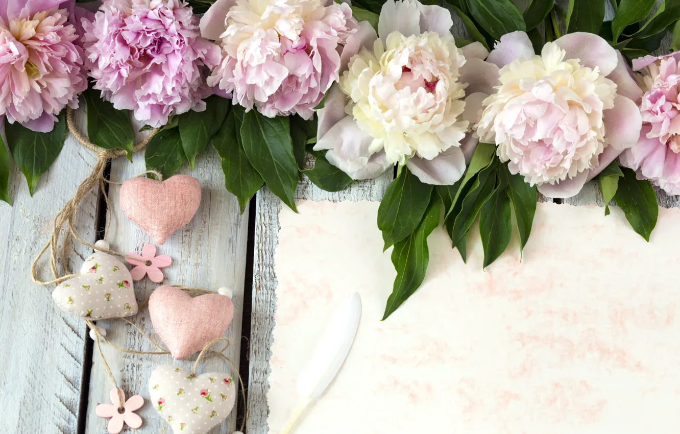 Фото обои цветы, сердце, pink, flowers, romantic, hearts, пионы, peonies
