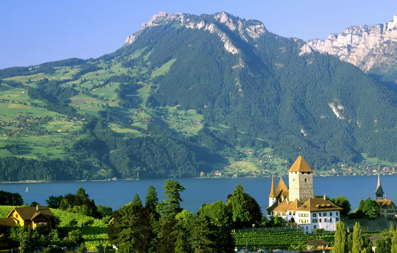 Фото обои озеро, замок, Швейцария