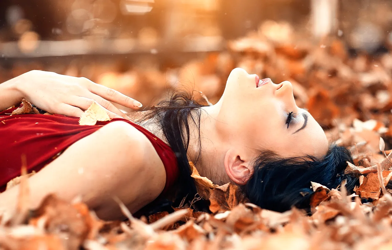 Фото обои листья, девушка, Alessandro Di Cicco, Sweet autumns dream