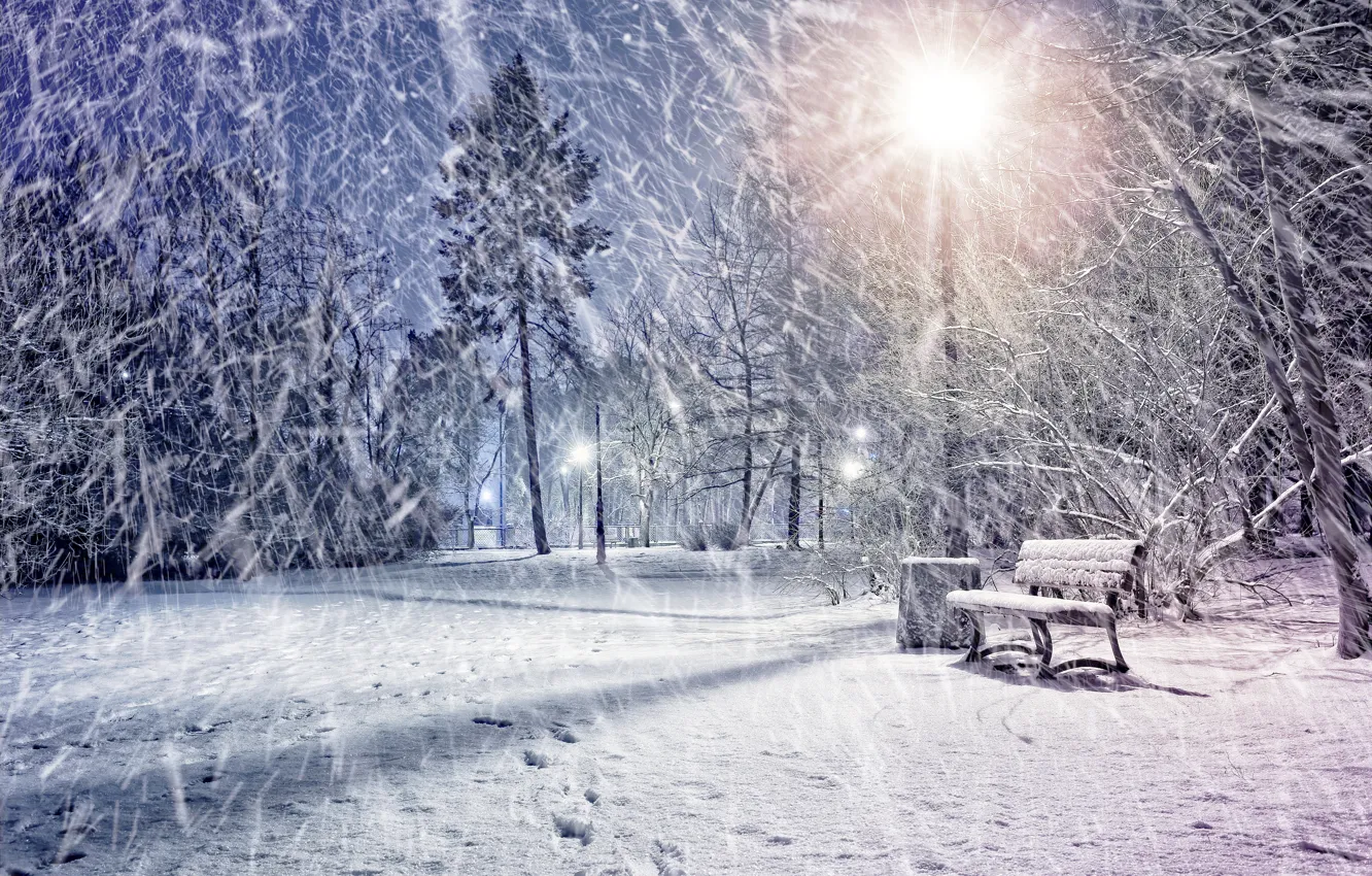 Фото обои зима, снег, lights, парк, фонарь, Park, winter, snow
