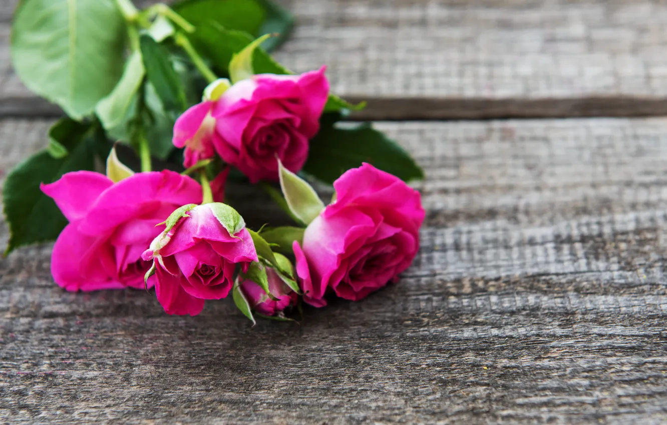 Фото обои розы, букет, розовые, wood
