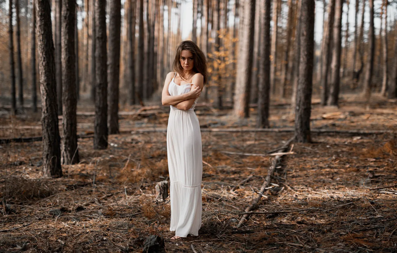 Фото обои лес, платье, прелесть, боке, Анна Серегина