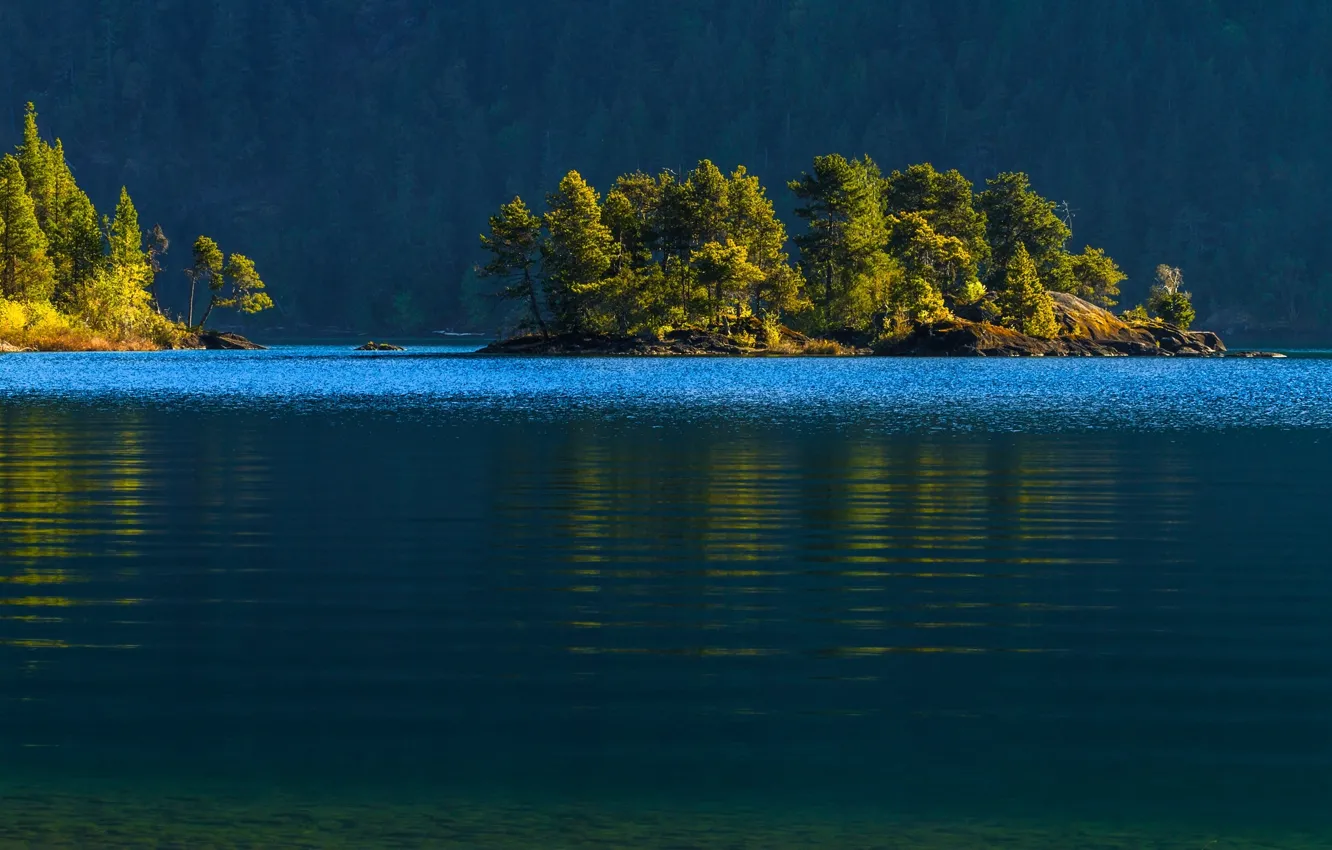 Фото обои лес, вода, деревья, Канада, Canada, островок, Cowichan Lake, озеро Кауичан