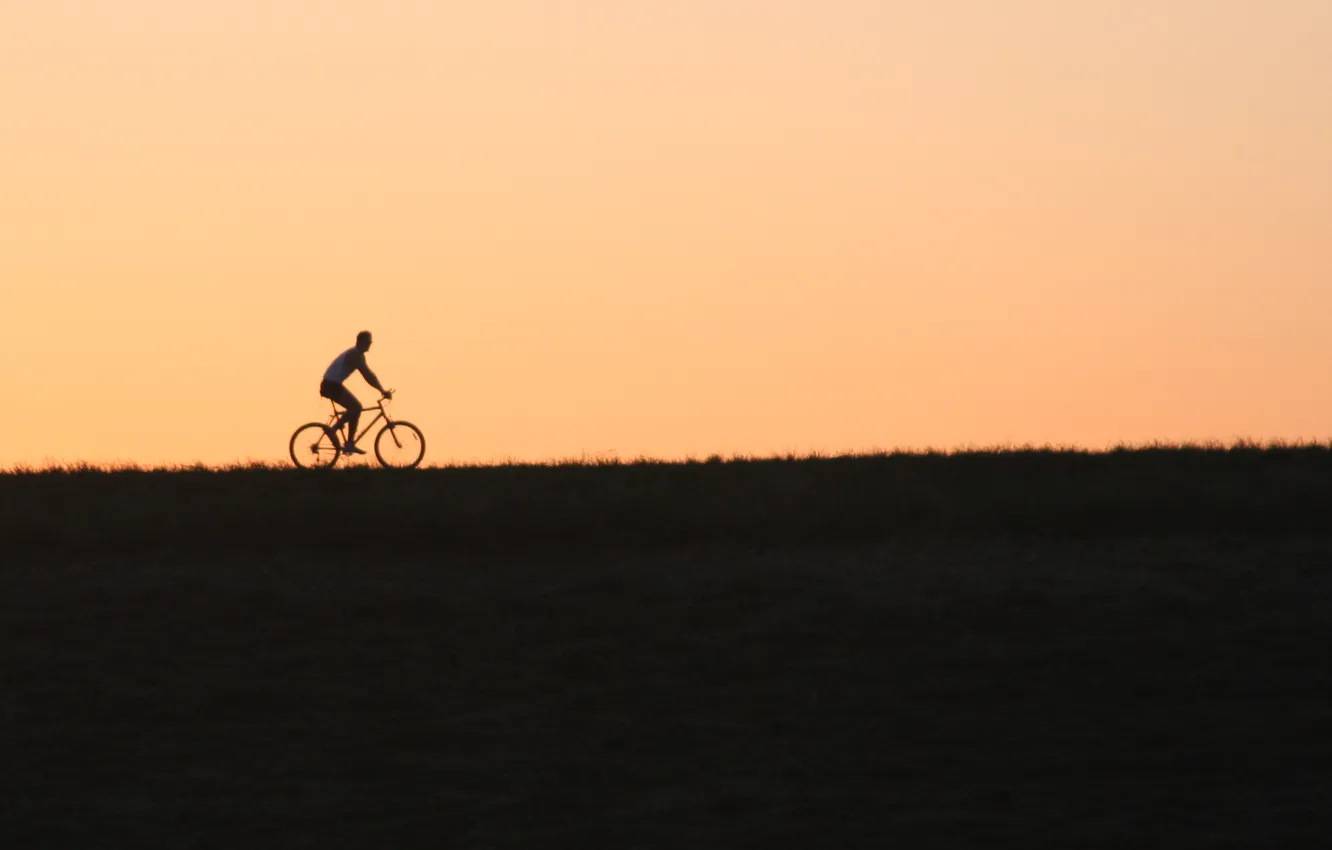 Фото обои поле, вечер, велосипедист, bike, sunset, ride