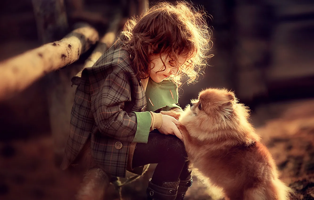 Фото обои игра, собака, девочка, малышка, ребёнок, пёс, шпиц, Darya Stepanova