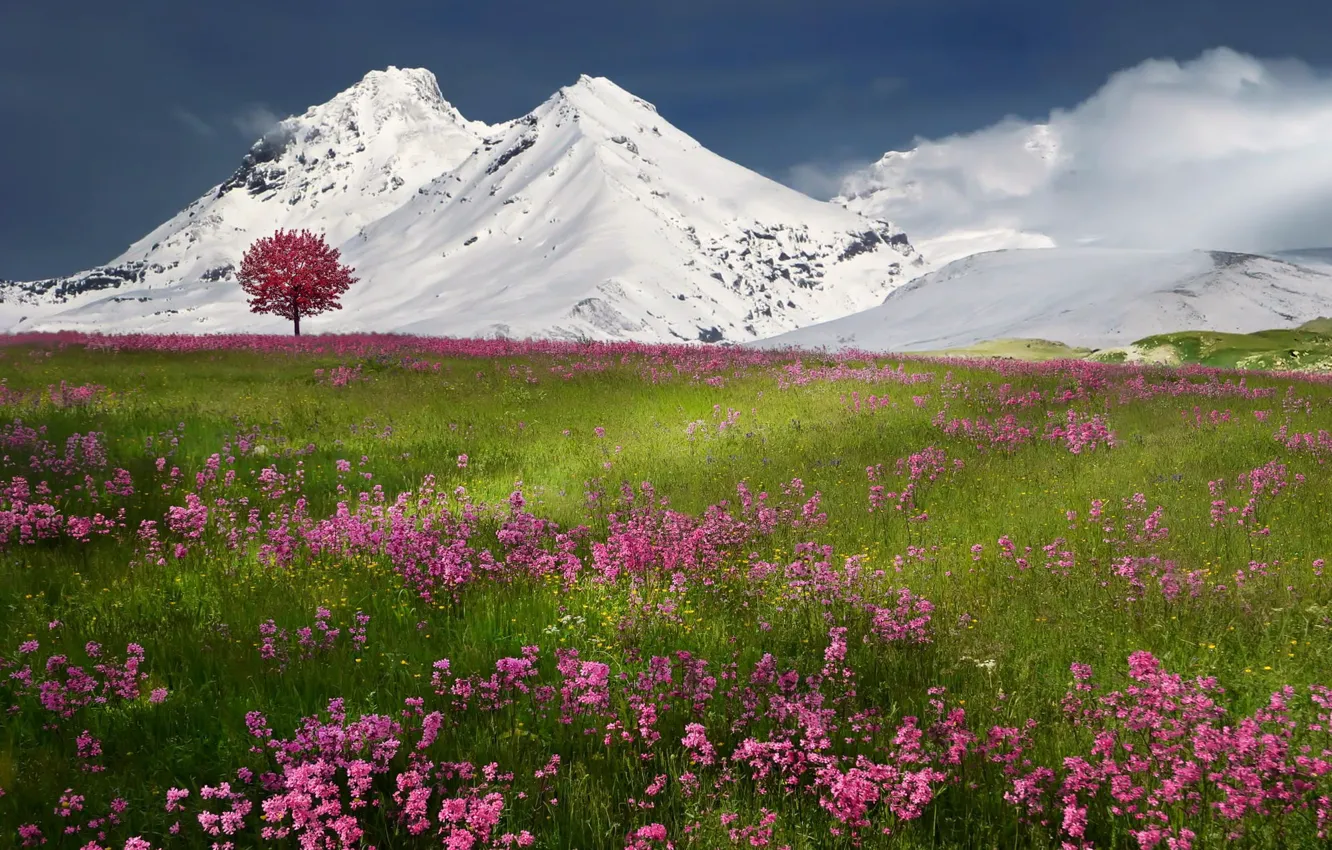 Фото обои зима, снег, горы, природа, весна