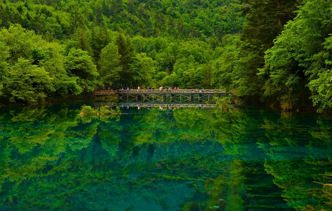 Фото обои лес, мост, озеро, отражение, China, Китай, заповедник, Сычуань