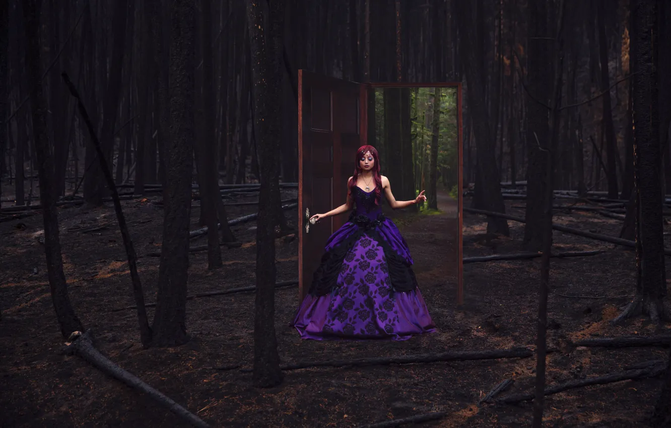 Фото обои лес, девушка, платье, дверь, Lichon, Queen Beryl