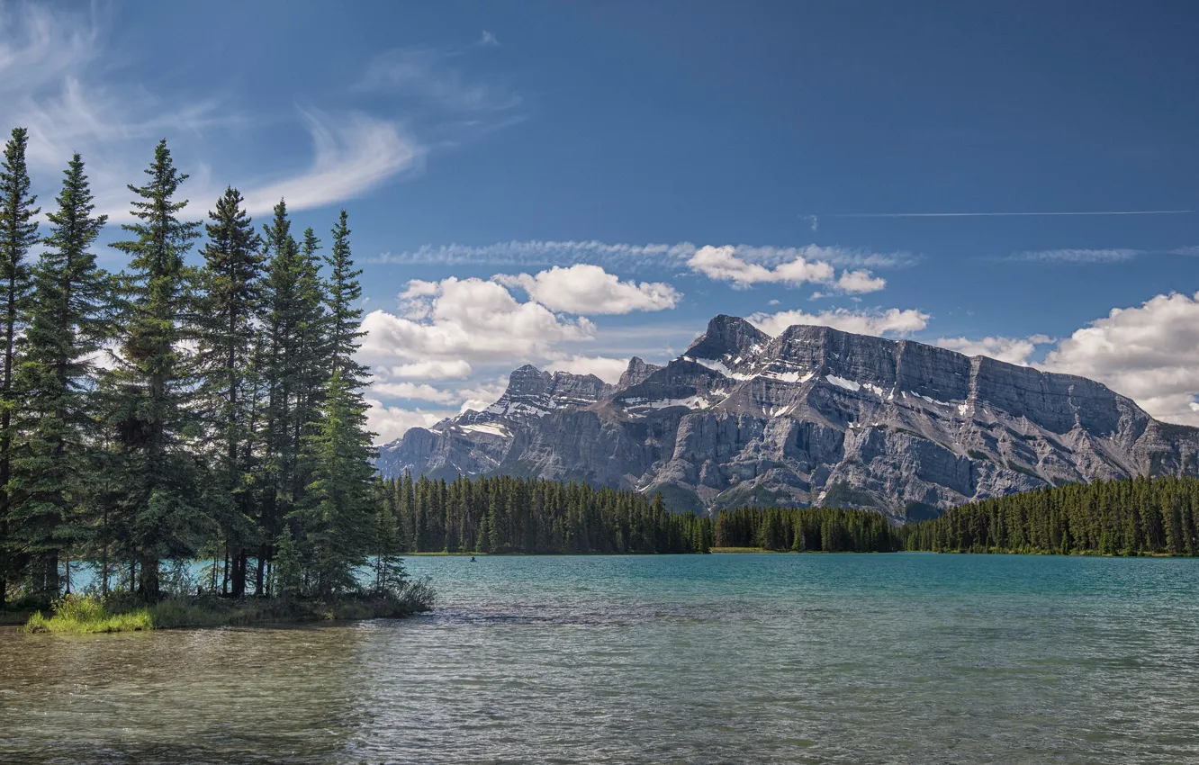 Фото обои лес, горы, озеро, ели, Канада, Альберта, Banff National Park, Alberta