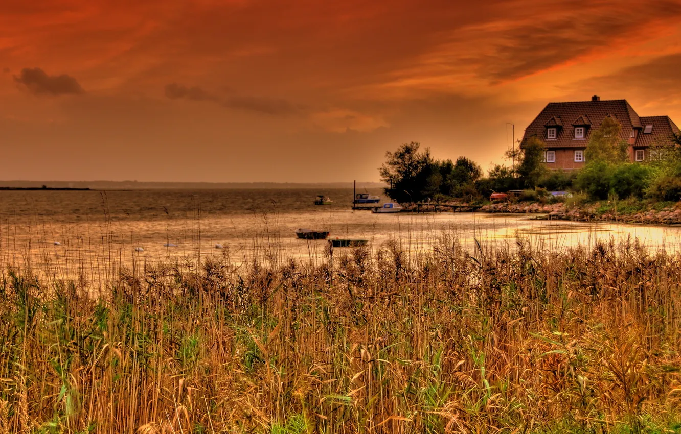 Фото обои пейзаж, закат, озеро, дом, камыш