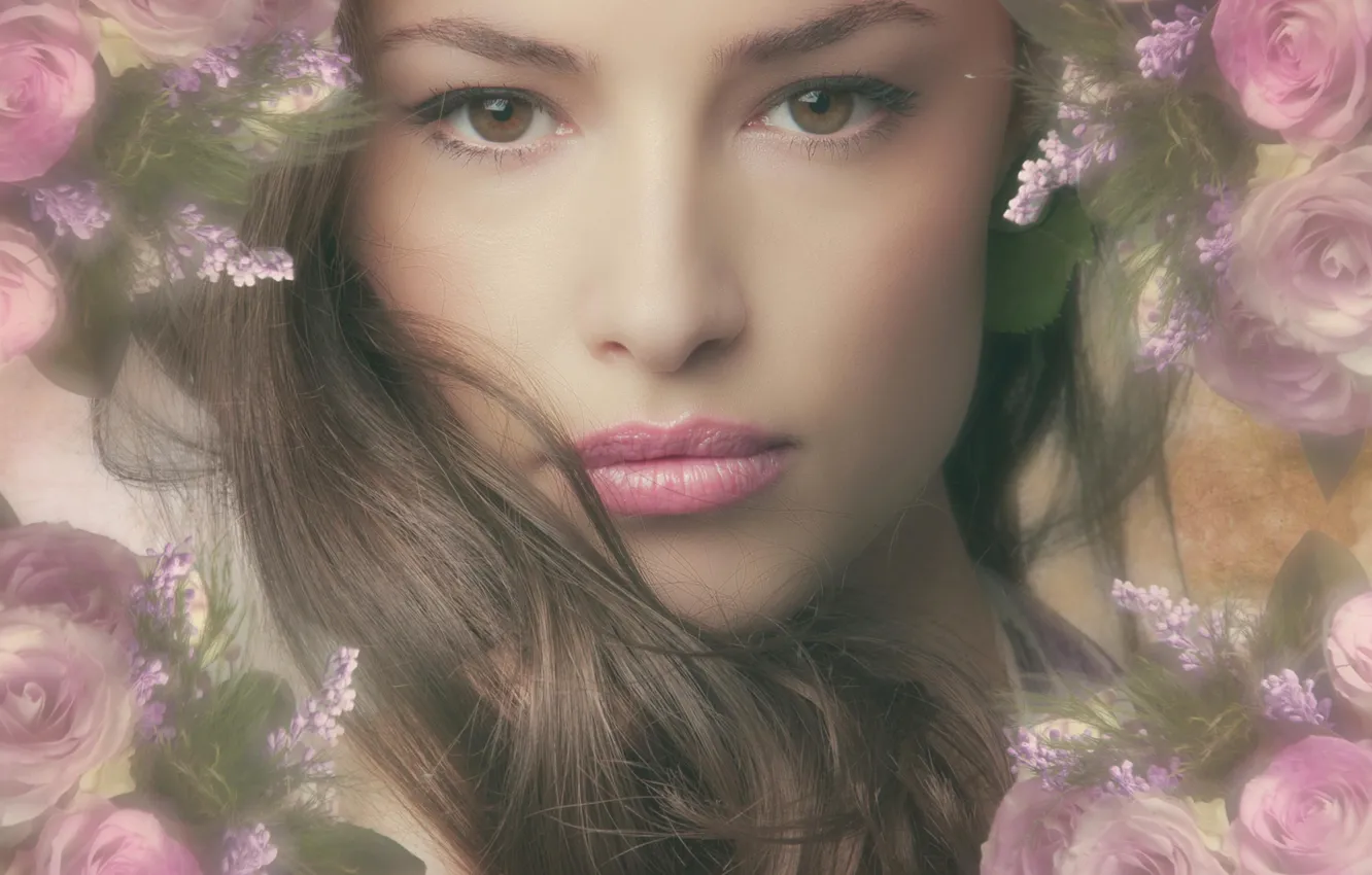 Фото обои девушка, лицо, волосы, портрет, pink, flowers, hair, roses