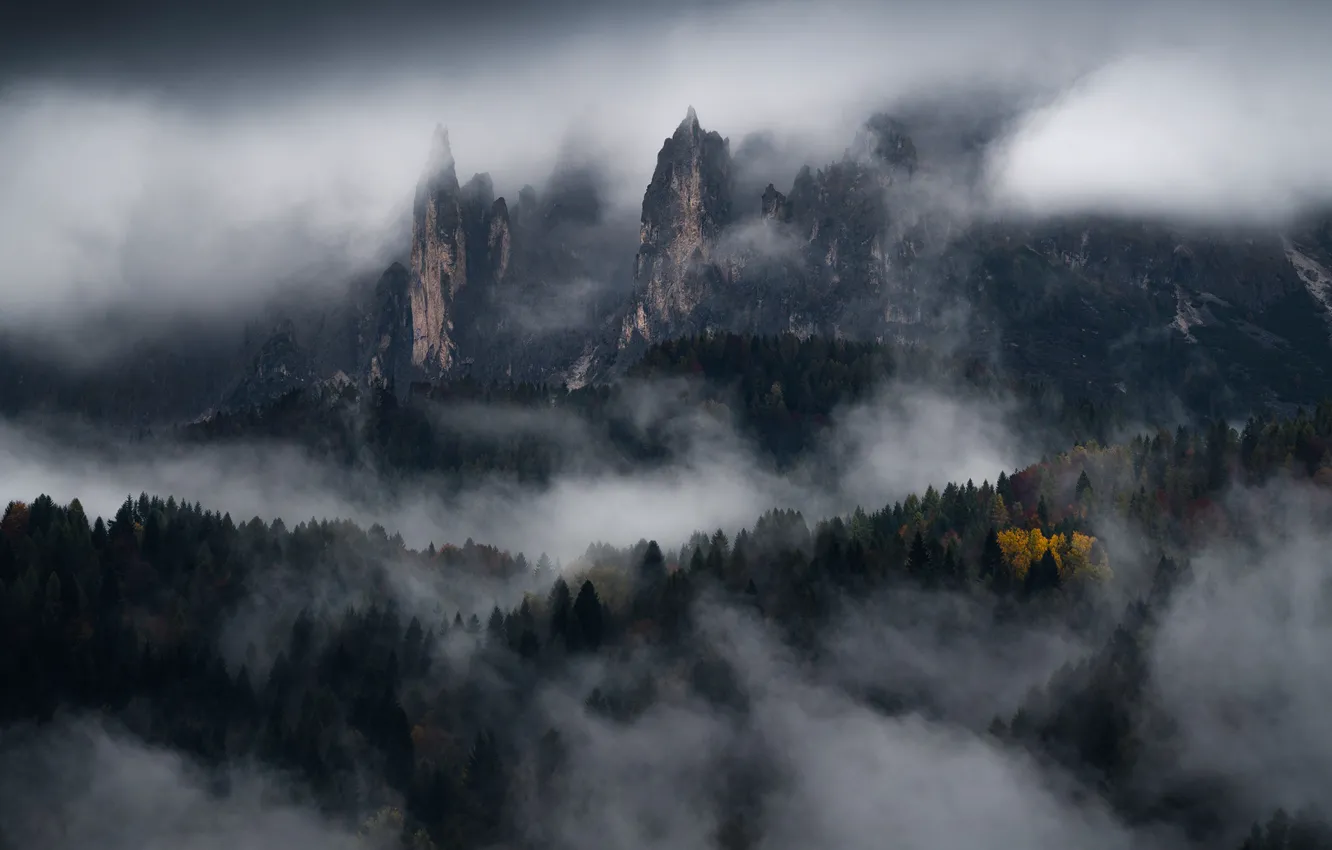 Фото обои лес, деревья, горы, природа, туман, скалы, Dolomites, Доломиты