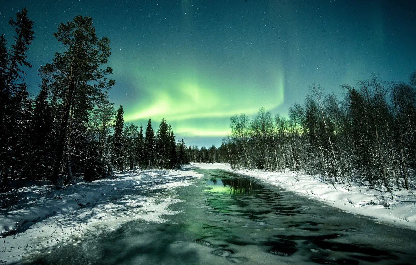 Фото обои зима, лес, снег, деревья, ночь, природа, река, берег