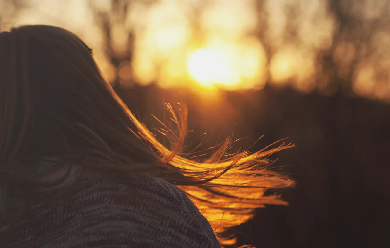 Фото обои девушка, солнце, закат, волосы