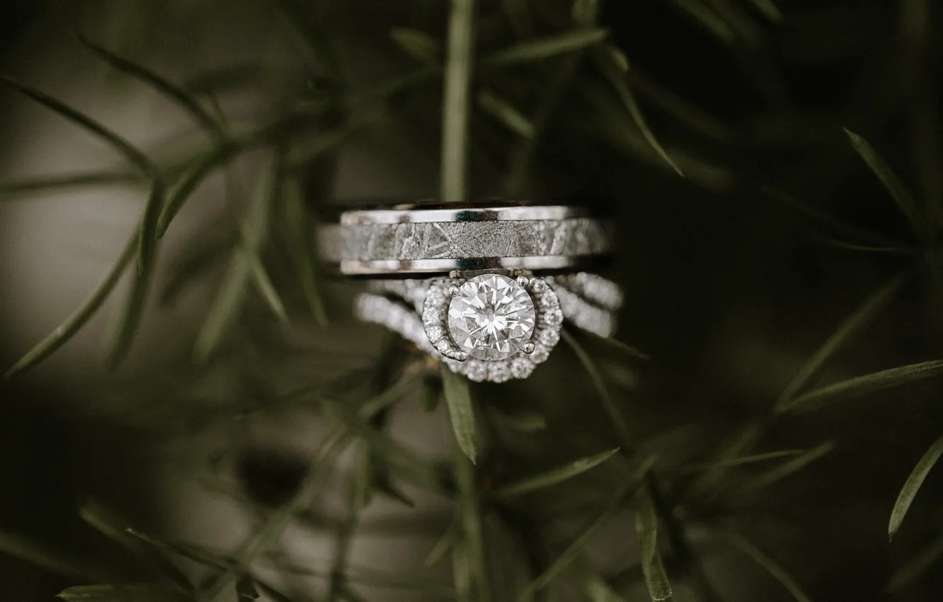Фото обои камень, кольца, свадьба, помолвка