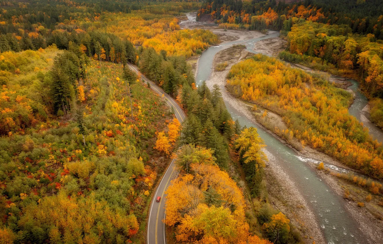 Фото обои дорога, осень, лес, река, шоссе, водоем, берега, краски осени