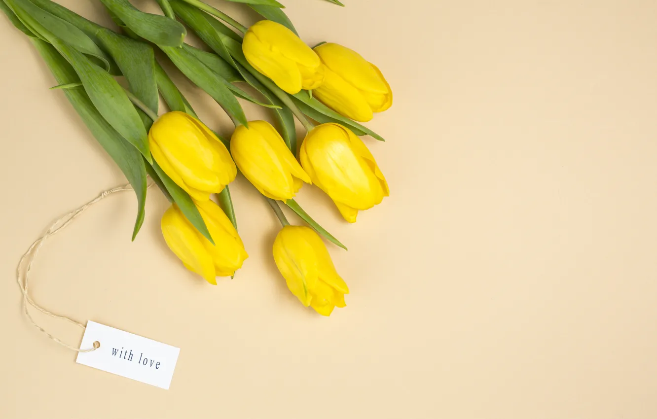 Фото обои фон, букет, желтые, tulip, bouguet, Dmytro Sheremeta