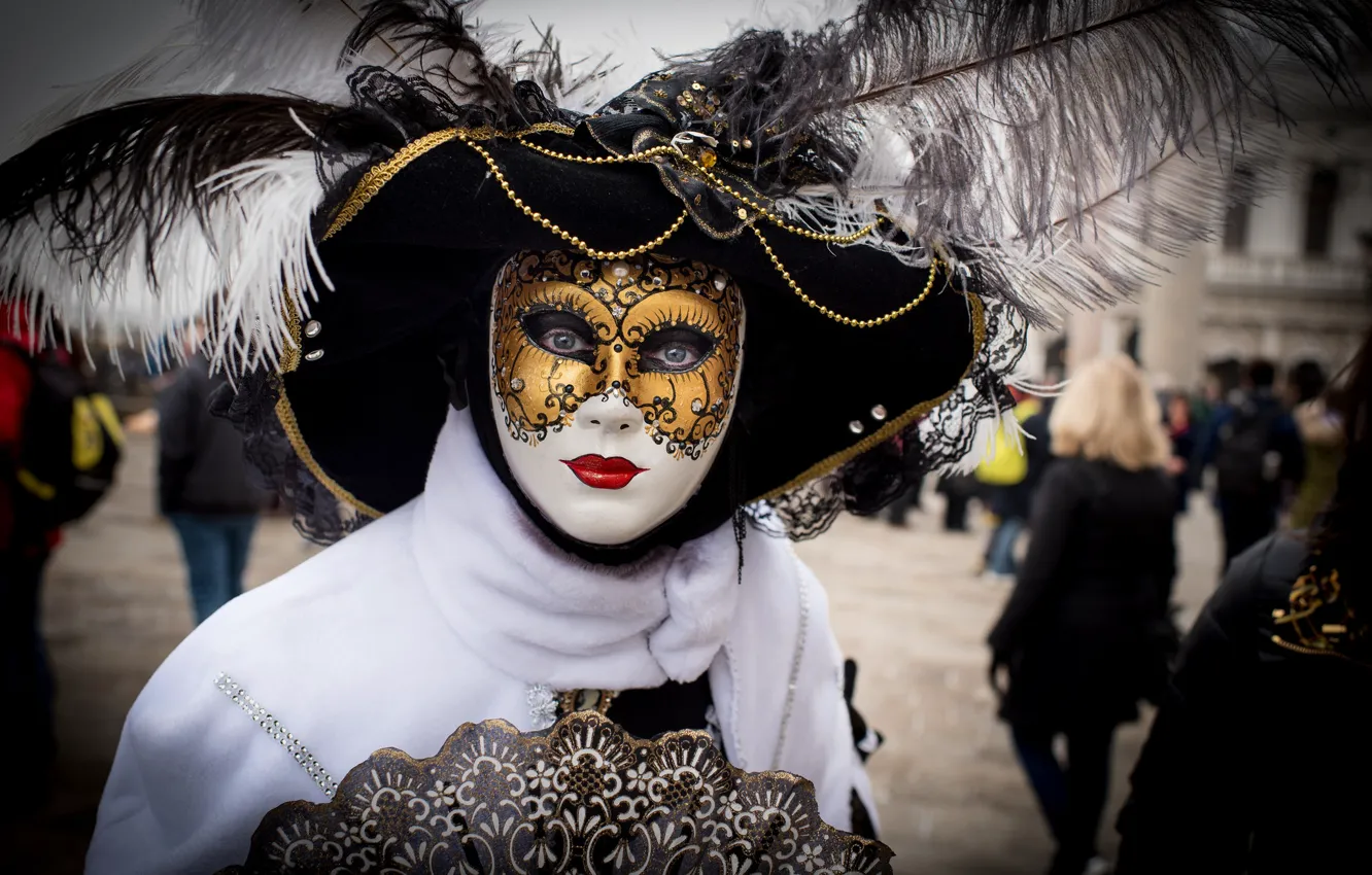 Фото обои перья, маска, Венеция, наряд, карнавал