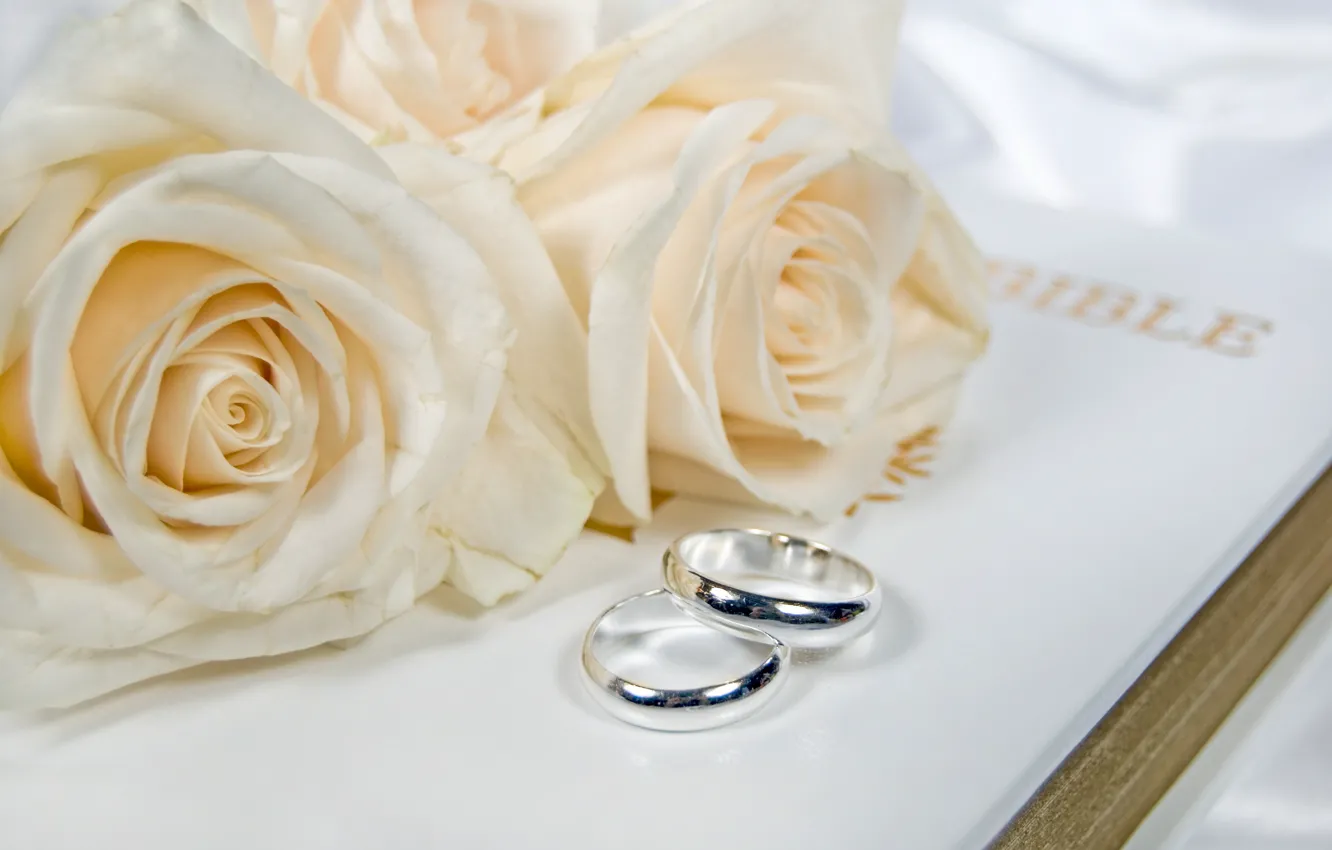 Фото обои цветы, flowers, обручальные кольца, wedding rings