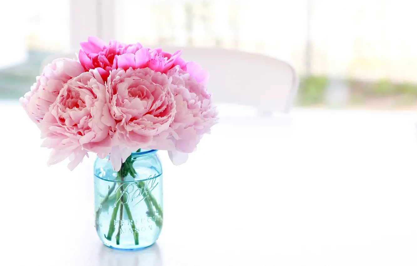 Фото обои белый, цветы, стол, фон, стул, банка, ваза, розовые