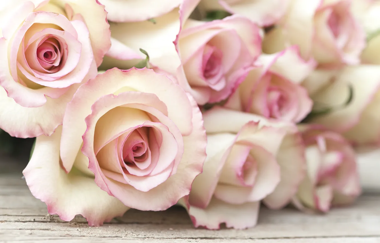 Фото обои цветы, розы, букет, розовые, wood, pink, flowers, roses