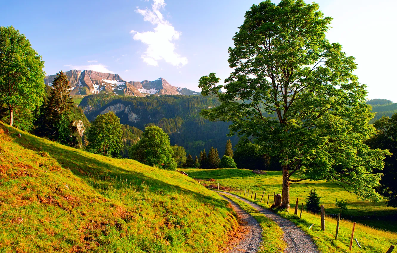 Фото обои дорога, лето, горы, Швейцария, Альпы