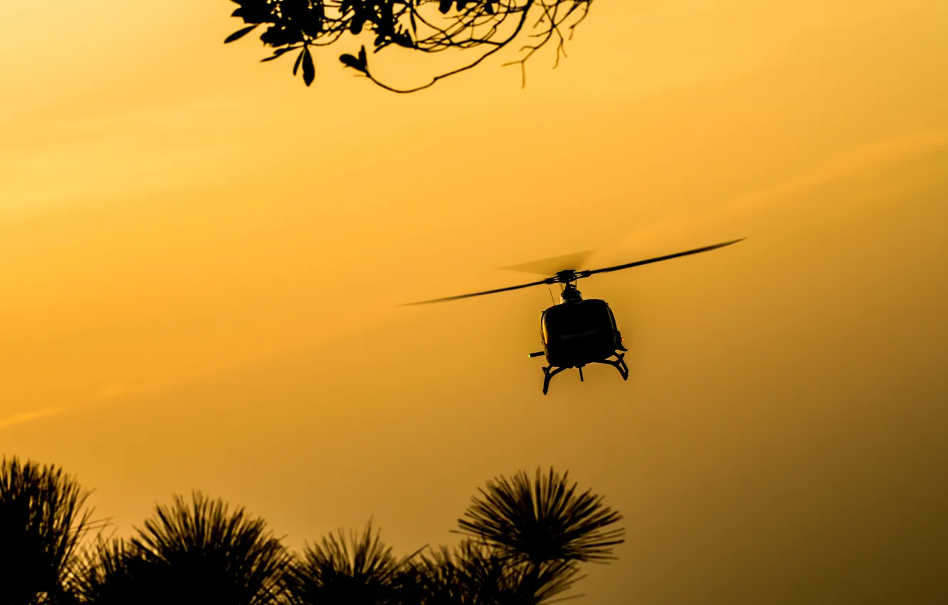 Фото обои полет, природа, рассвет, вертушка, силуэт, вертолет, винты, helicopter