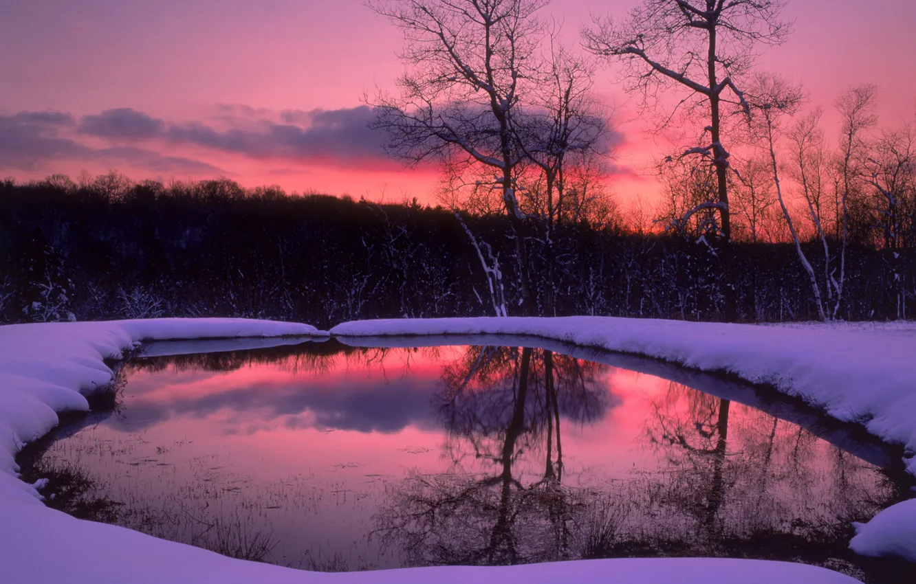 Фото обои зима, лес, снег, деревья, озеро, вечер