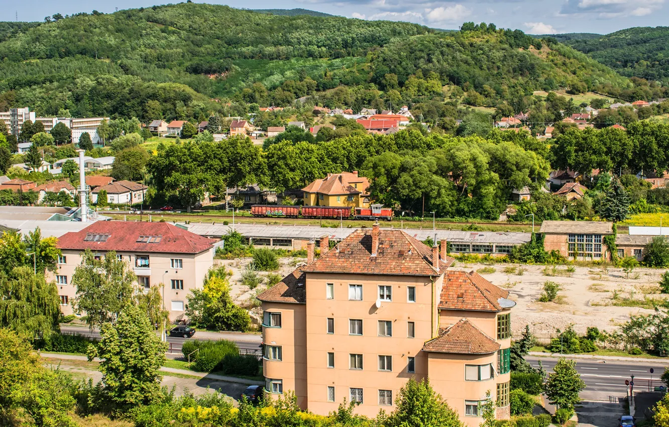 Фото обои зелень, лес, небо, солнце, облака, деревья, горы, природа