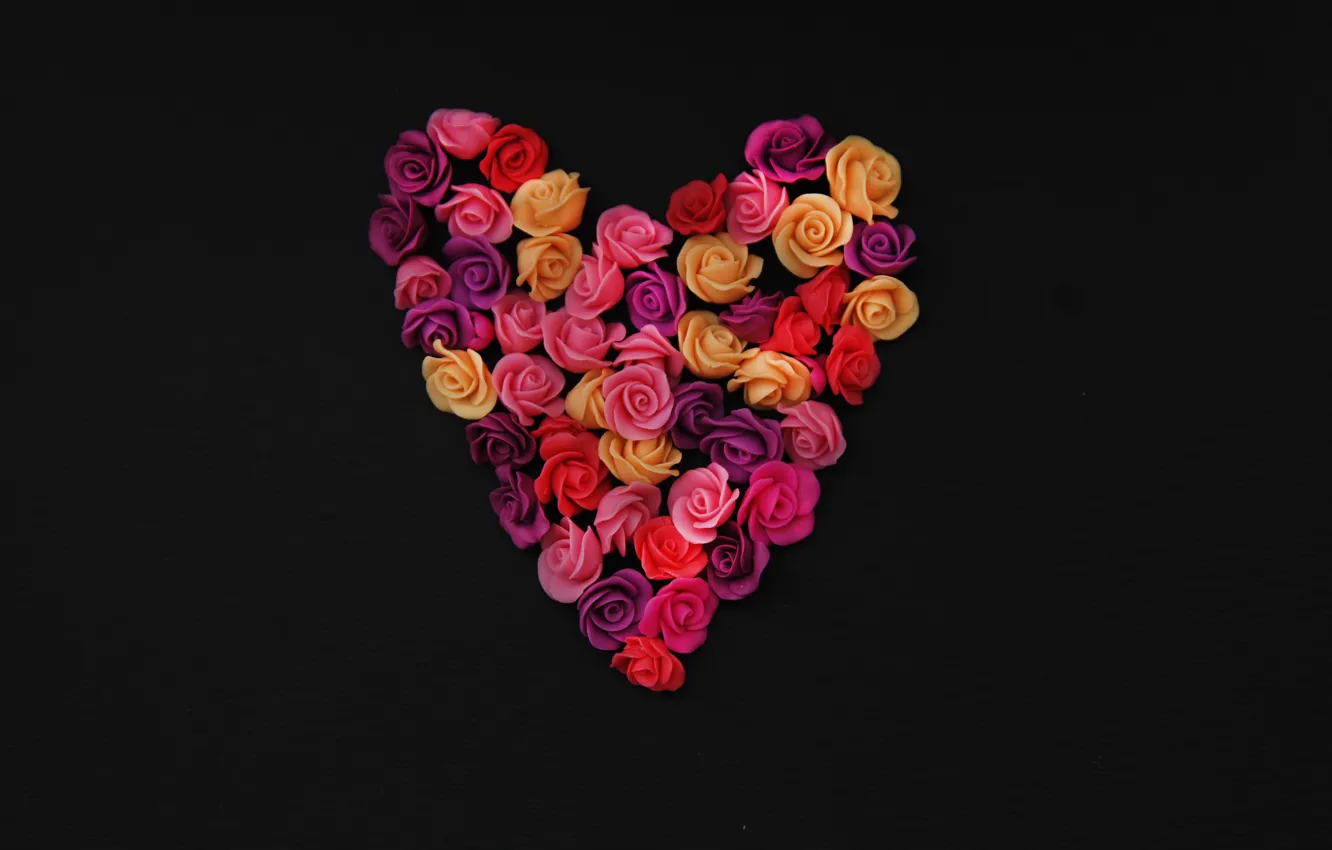 Фото обои фон, черный, сердце, розы, бутоны