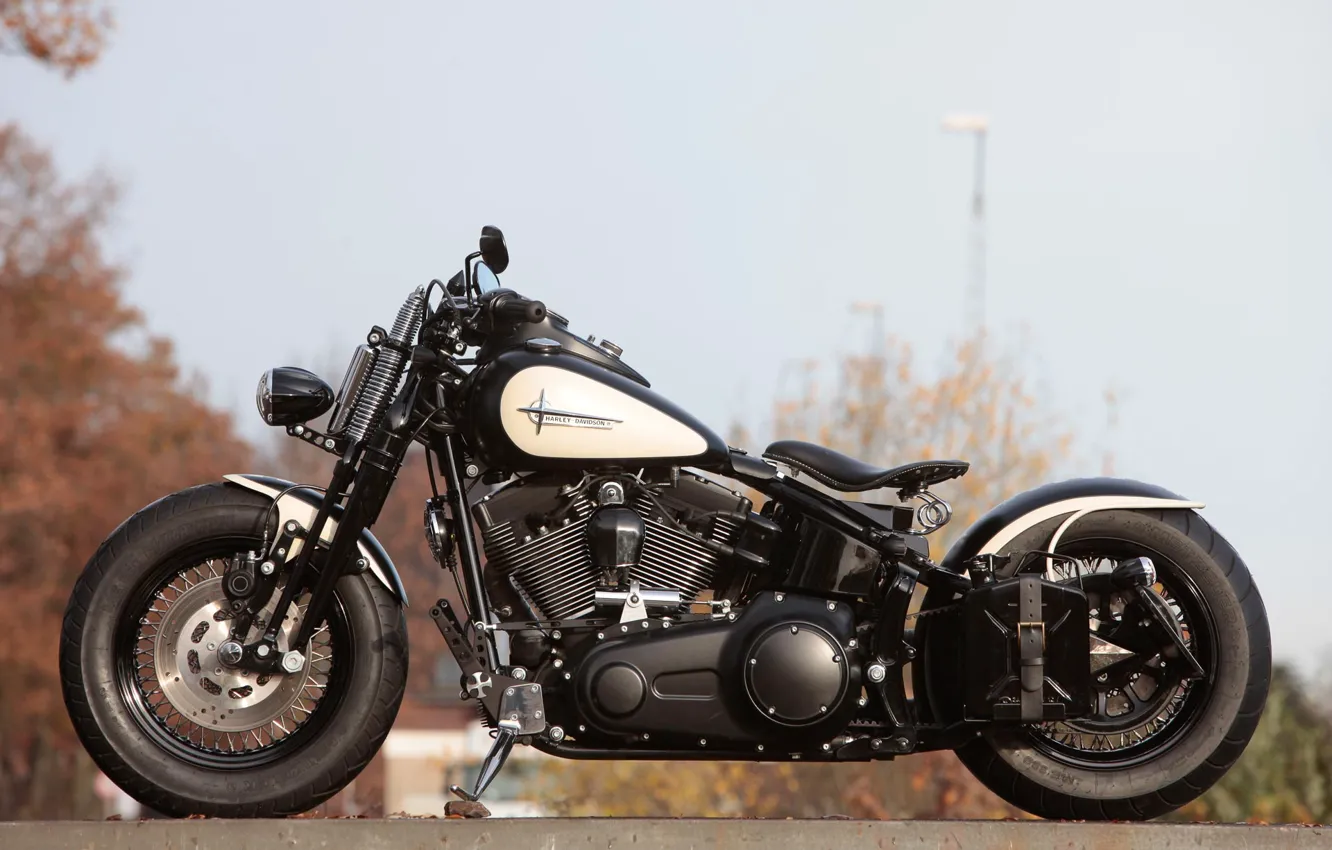Фото обои Harley-Davidson, Motorbike, Cross Bones, Customized, Thunderbike, By Thunderbike, BONE HUNTER
